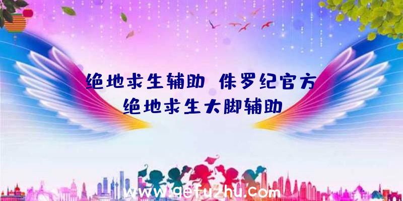 「绝地求生辅助